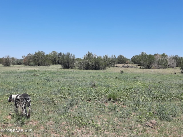 LOT1316 Anvil Rock Rd, Seligman, AZ 86337