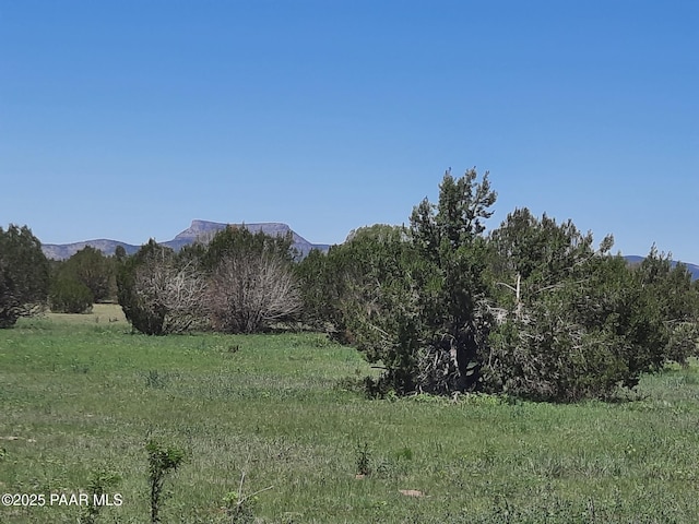 LOT1316 Anvil Rock Rd, Seligman, AZ 86337