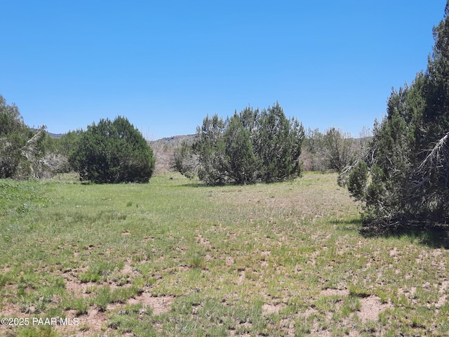 LOT1316 Anvil Rock Rd, Seligman, AZ 86337