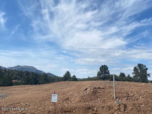 view of yard with a mountain view