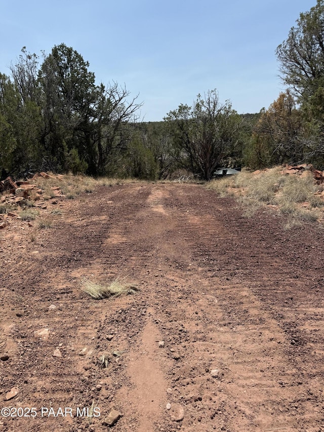 33395 W Lago Cir, Seligman, AZ 86337 - photo 3