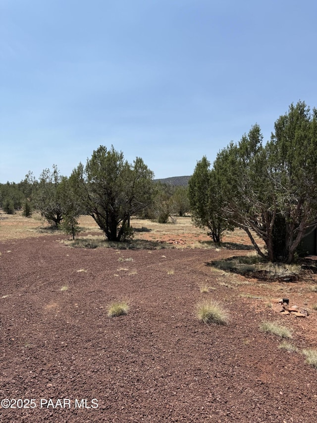 33395 W Lago Cir, Seligman, AZ 86337 - photo 22