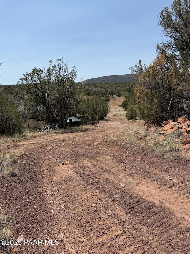 33395 W Lago Cir, Seligman, AZ 86337 - photo 2