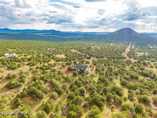 2667 N Overlook Dr, Williams, AZ 86046 - drone / aerial view of a mountainous background