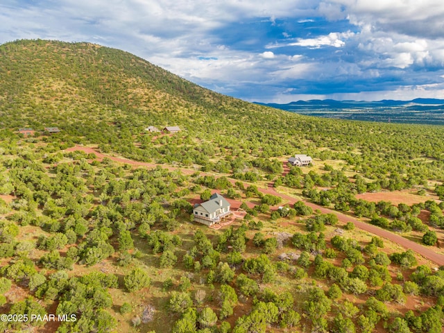2667 N Overlook Dr, Williams, AZ 86046 - mountain view