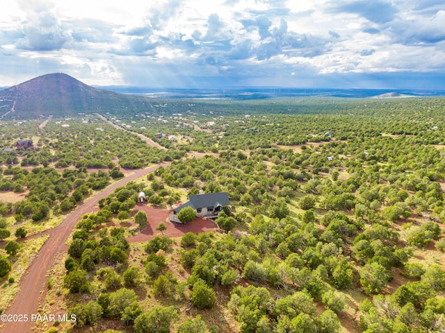 2667 N Overlook Dr, Williams, AZ 86046 - aerial view of a mountainous background