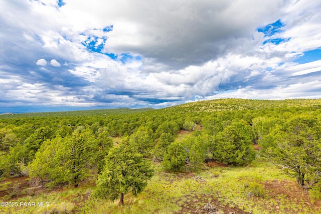 2667 N Overlook Dr, Williams, AZ 86046 - view of mountain background featuring a heavily wooded area