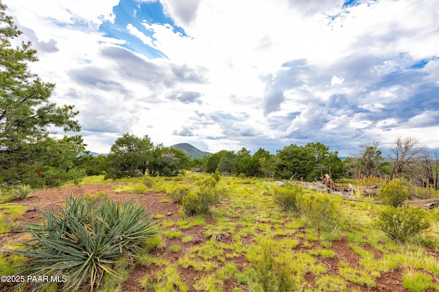 2667 N Overlook Dr, Williams, AZ 86046 - view of local wilderness with a mountain backdrop