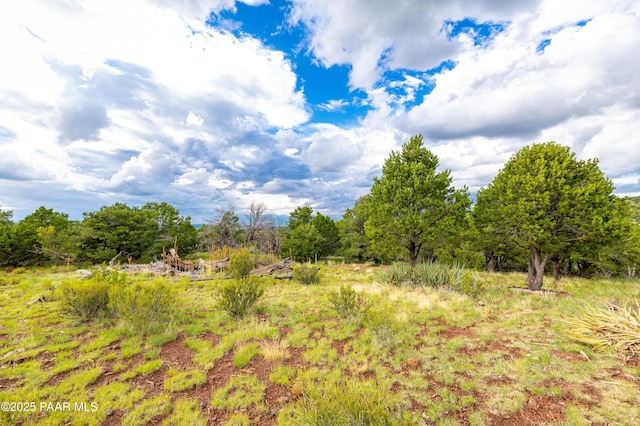 2667 N Overlook Dr, Williams, AZ 86046 - view of local wilderness