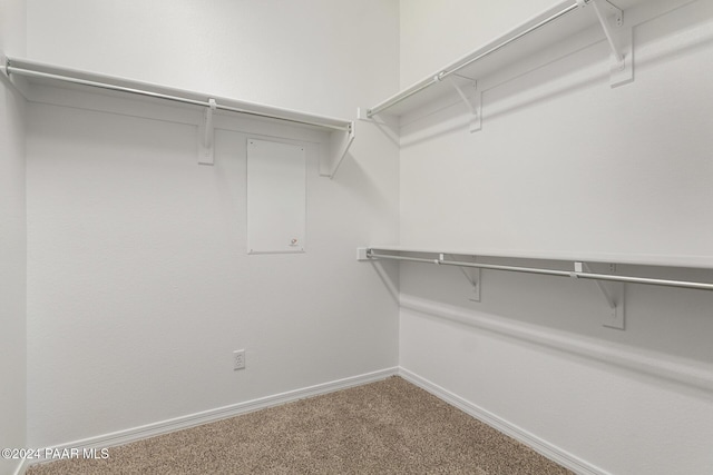 spacious closet with carpet