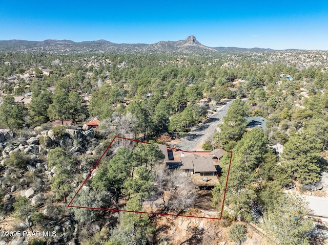 birds eye view of property featuring a forest view and a mountain view