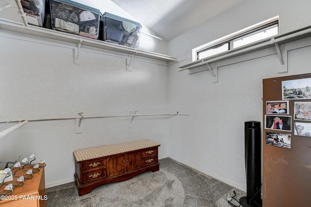 spacious closet featuring carpet and vaulted ceiling