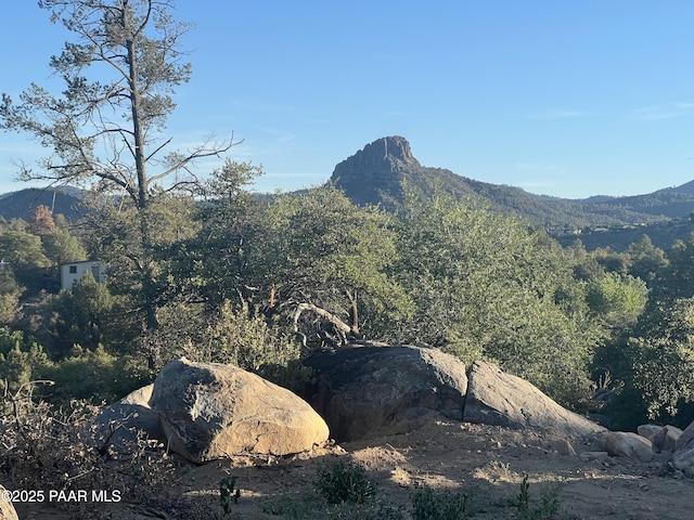 1940 W Rock Castle Dr, Prescott, AZ 86305 - view of mountain background featuring a heavily wooded area