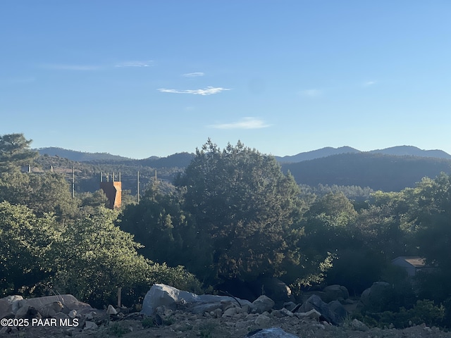 1940 W Rock Castle Dr, Prescott, AZ 86305 - mountain view featuring a forest