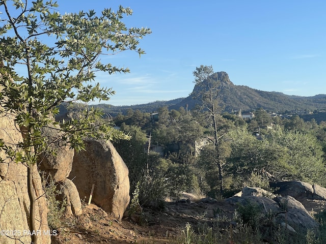 1940 W Rock Castle Dr, Prescott, AZ 86305 - view of mountain background featuring a heavily wooded area