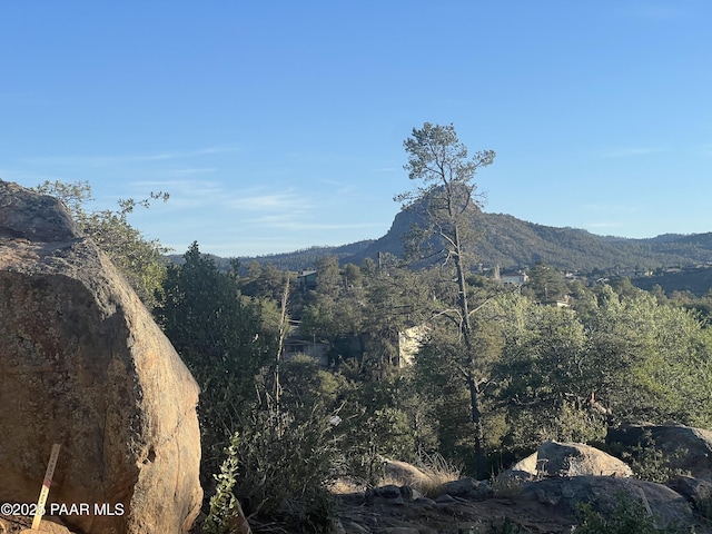1940 W Rock Castle Dr, Prescott, AZ 86305 - view of mountain backdrop featuring a forest
