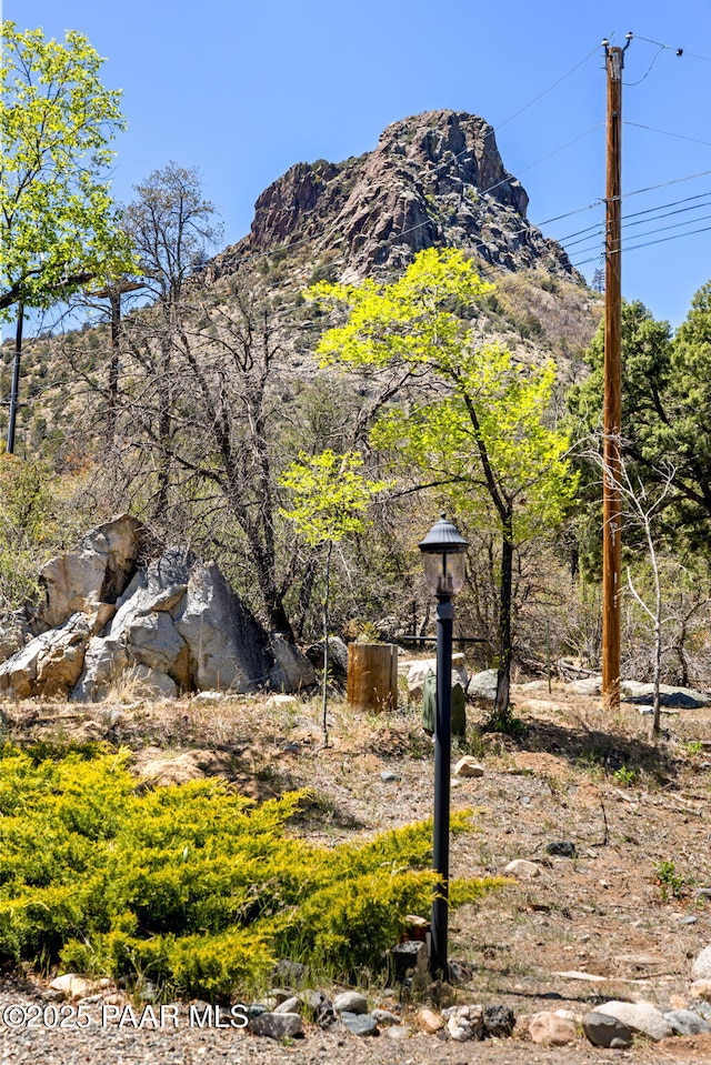 mountain view