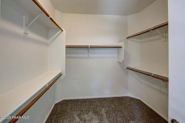 7461 N Windy Walk Way, Prescott Valley, AZ 86315 - walk in closet featuring carpet floors