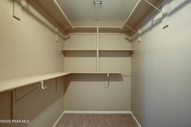 20100 E Mesa Verde Rd, Mayer, AZ 86333 - spacious closet with carpet