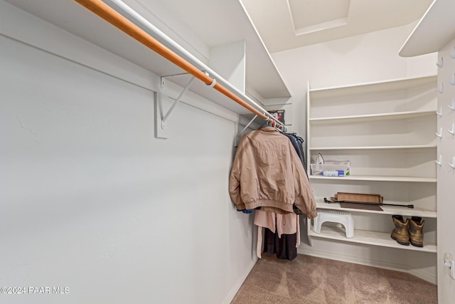 walk in closet featuring light carpet