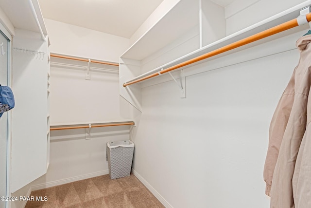 spacious closet with light carpet