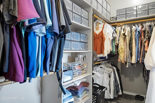 view of walk in closet