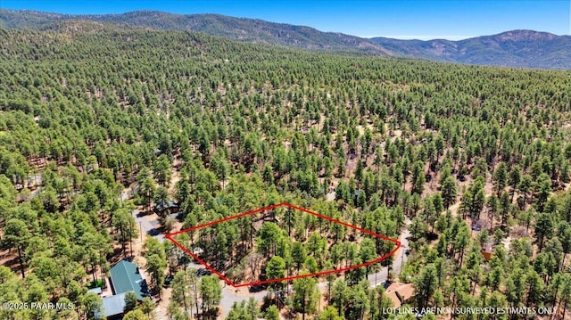 1111 E Pine Hills Dr, Prescott, AZ 86303 - photo 26