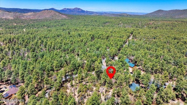 1111 E Pine Hills Dr, Prescott, AZ 86303 - photo 29