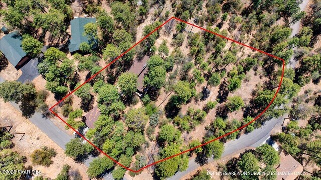 1111 E Pine Hills Dr, Prescott, AZ 86303 - photo 25