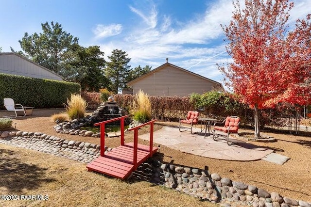 view of yard with a patio area