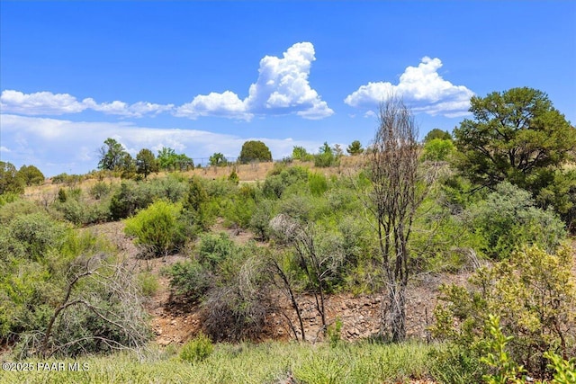 3050 Smokey Rd Unit 20D, Prescott, AZ 86301 - view of undeveloped land