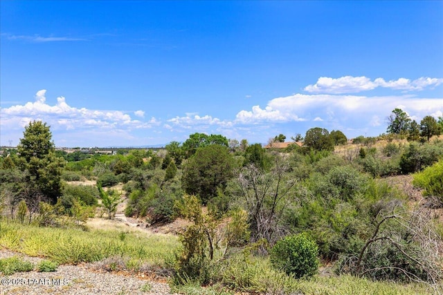 3050 Smokey Rd Unit 20D, Prescott, AZ 86301 - view of local wilderness