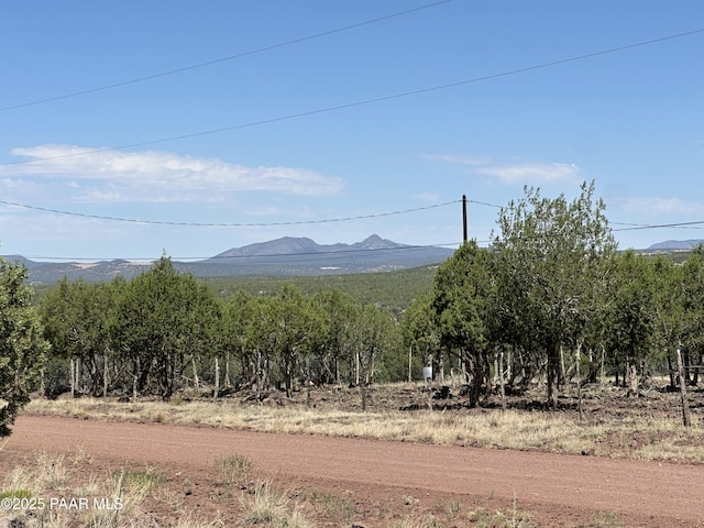 2050 W Skyline Dr, Williams, AZ 86046 - photo 2