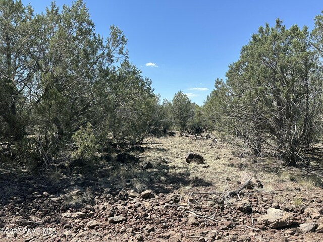 2050 W Skyline Dr, Williams, AZ 86046 - photo 8