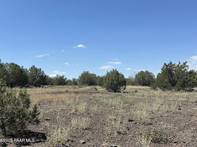 2050 W Skyline Dr, Williams, AZ 86046 - photo 3