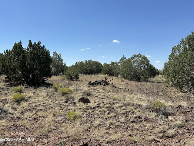 2050 W Skyline Dr, Williams, AZ 86046 - photo 7