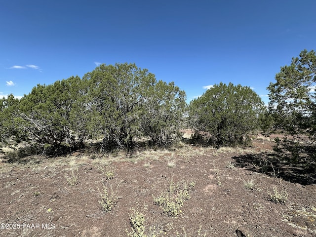 2050 W Skyline Dr, Williams, AZ 86046 - photo 4