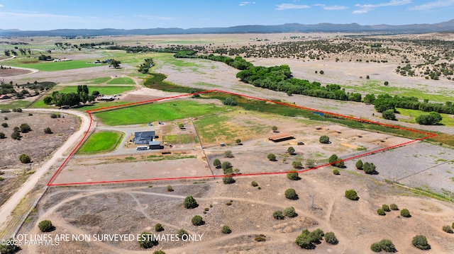 birds eye view of property with a rural view and a mountain view