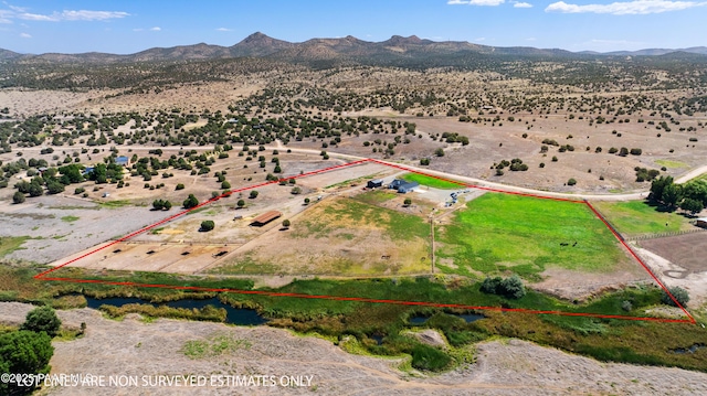 drone / aerial view featuring a rural view and a mountain view