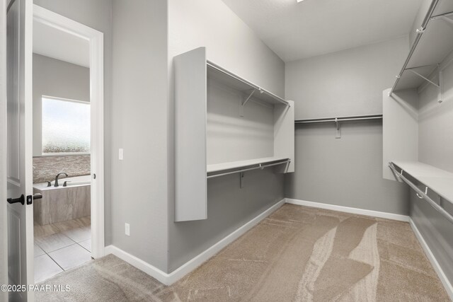 848 Royal Tulips St, Prescott, AZ 86301 - spacious closet with carpet