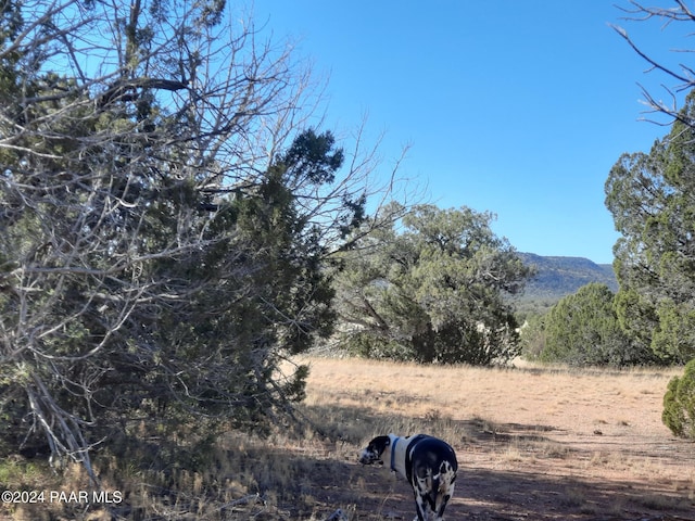 54214 N Castano Rd, Seligman, AZ 86337 - photo 4