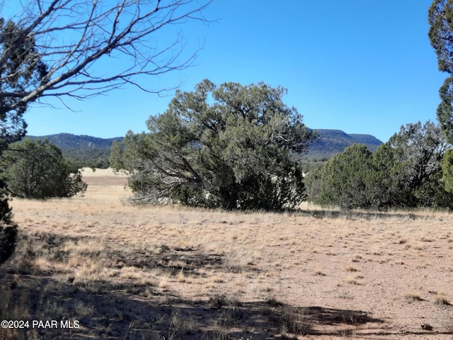 54214 N Castano Rd, Seligman AZ, 86337 land for sale