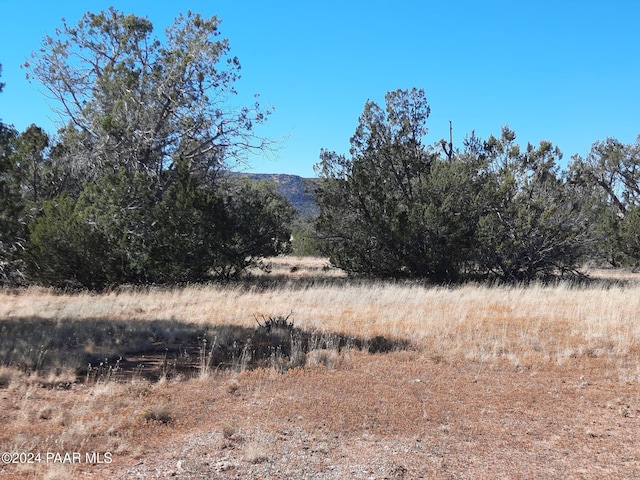 54214 N Castano Rd, Seligman, AZ 86337 - photo 2