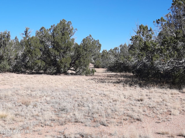 54214 N Castano Rd, Seligman, AZ 86337 - photo 8