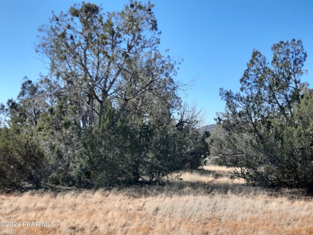 54214 N Castano Rd, Seligman, AZ 86337 - photo 3