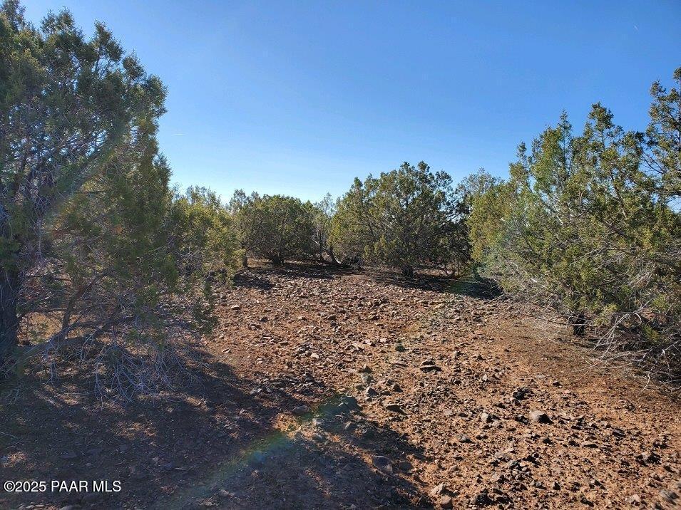 1652 N Franks Pl, Williams, AZ 86046 - photo 1