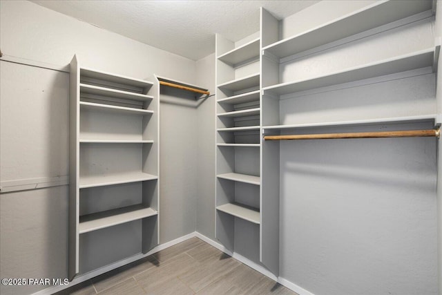 spacious closet featuring wood-type flooring