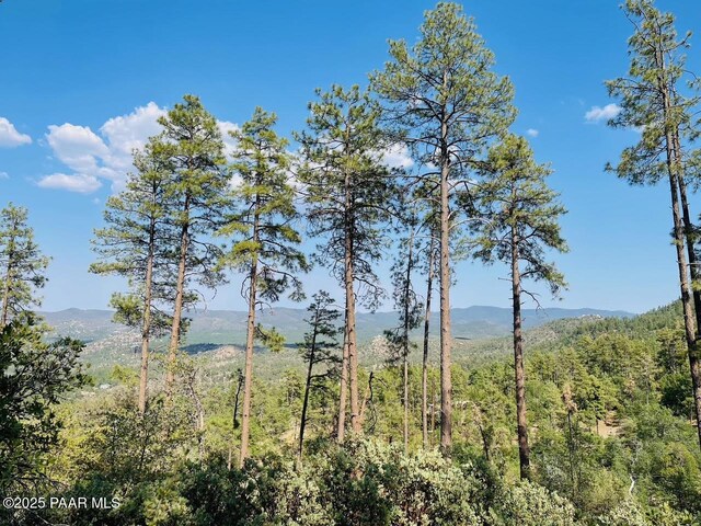 2075 S Snowy Ridge Dr, Prescott, AZ 86303