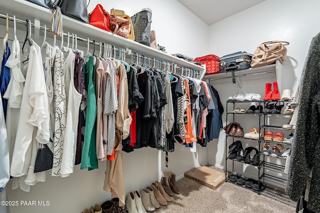 spacious closet featuring carpet