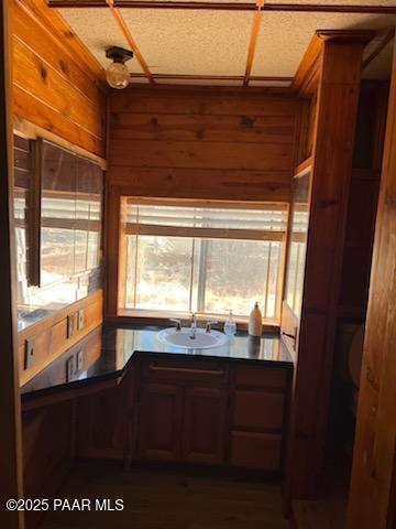 kitchen with dark countertops, wood walls, and a sink